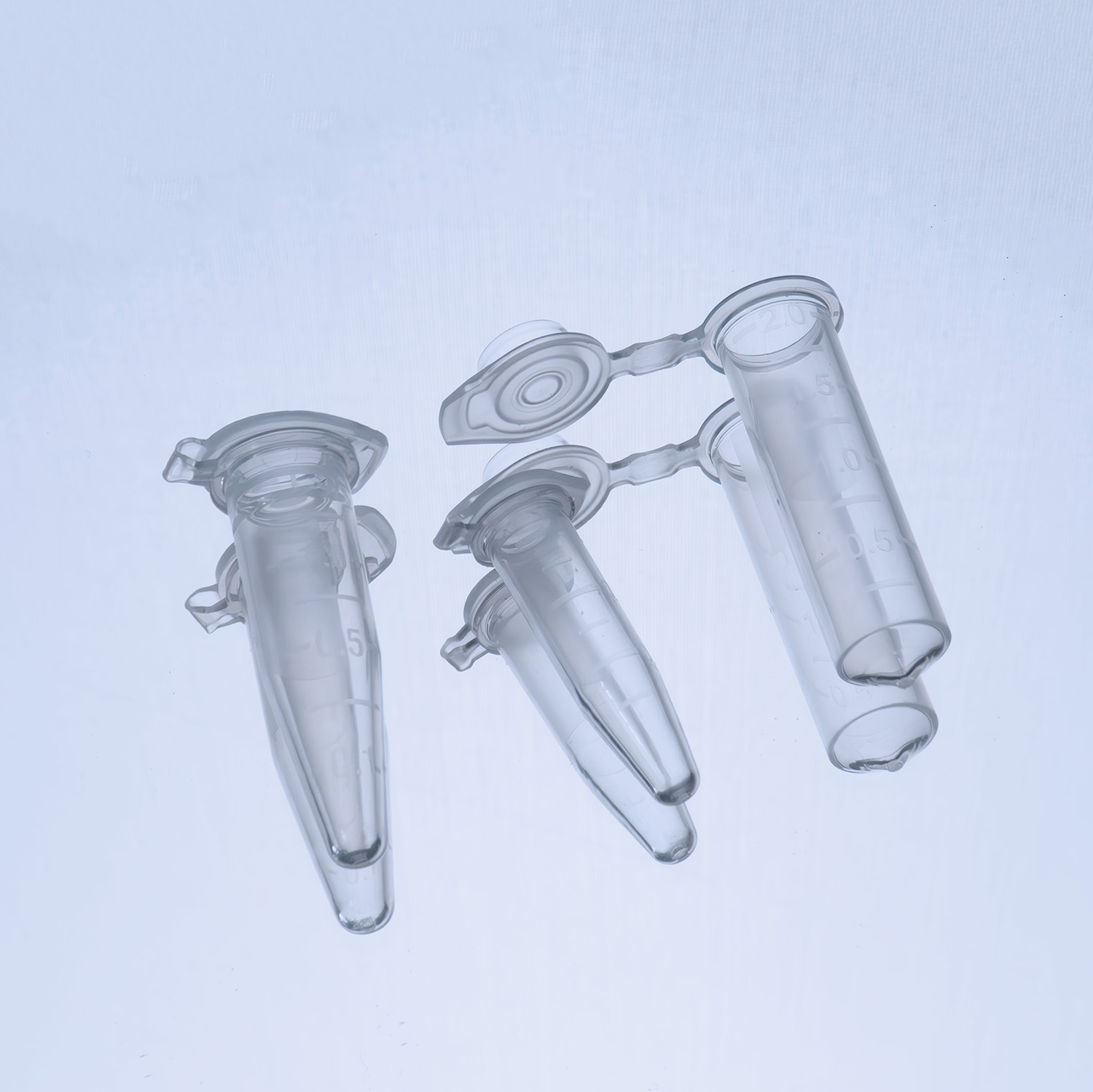Vaccum Flasks