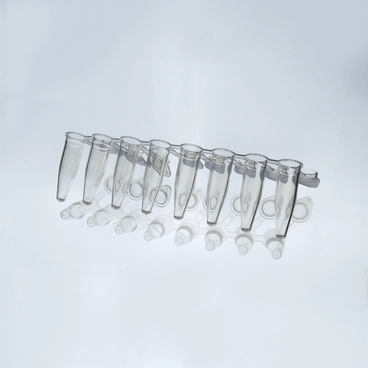 Umura - Beaker, Low Form