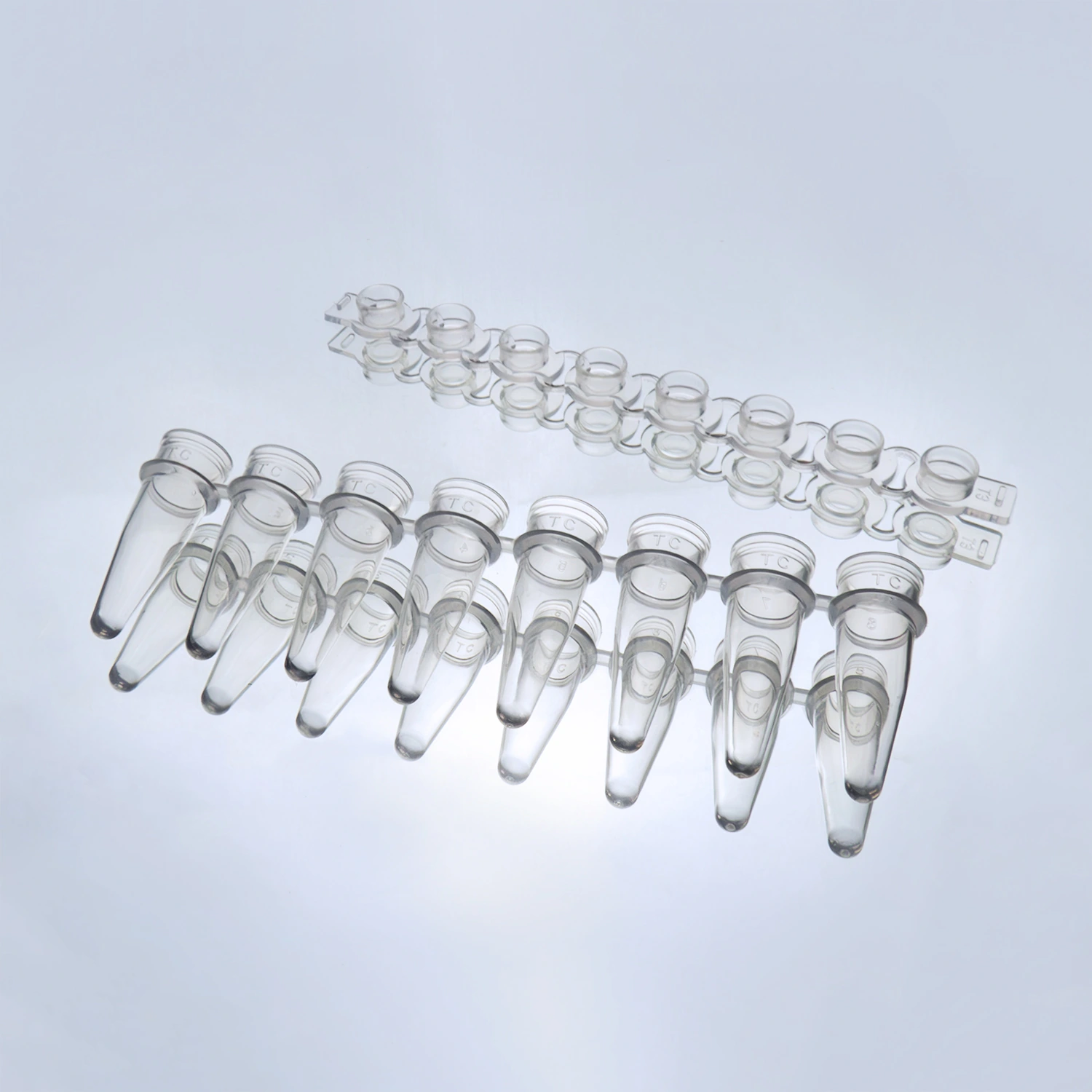 Vaccum Flasks
